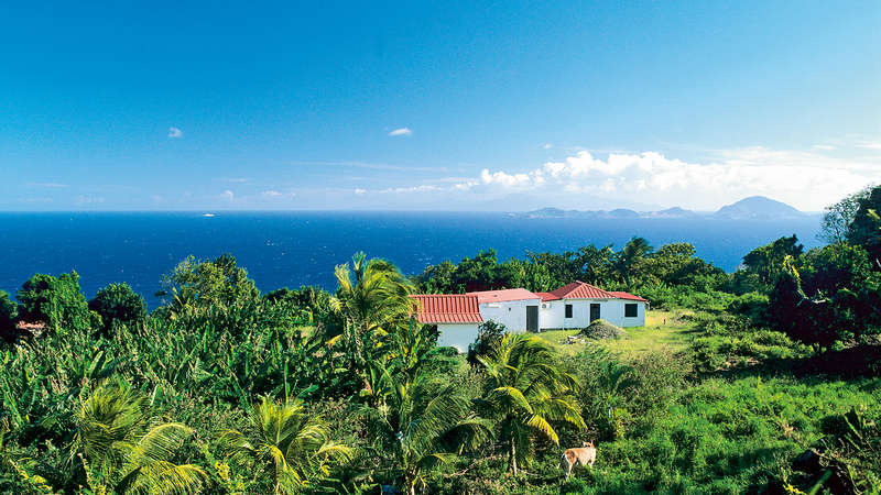 Karibik 2
